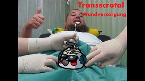 transscrotal piercing